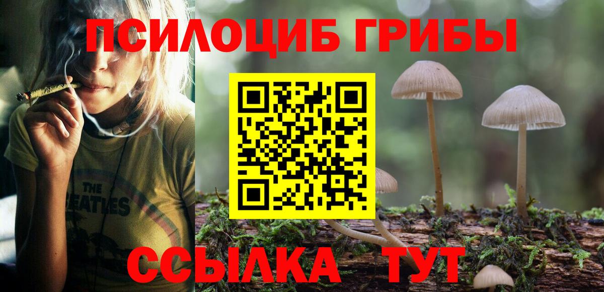 Галлюциногенные грибы Psilocybe Чапаевск