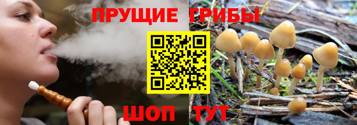 Чапаевск  Галлюциногенные грибы прущие грибы  Вход с VPN  Псилоцибиновые грибы Magic Shrooms 